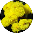 Sumit profile picture
